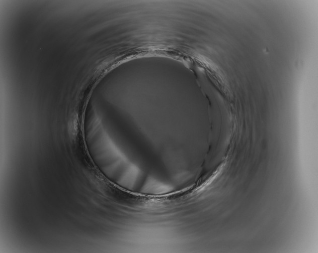 X0000088481161200706121525