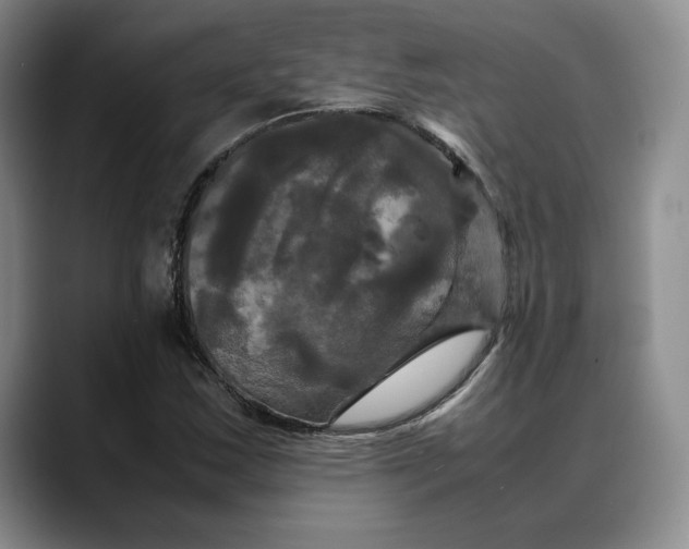X0000088481163200706121525