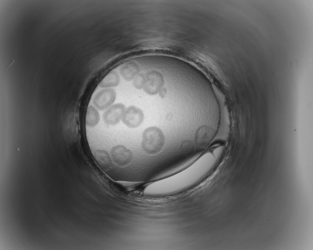 X0000088481164200706121525