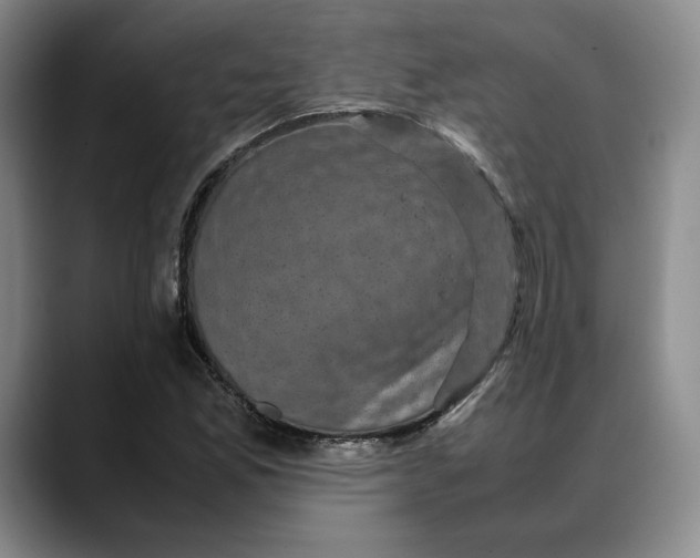 X0000088481165200706121525