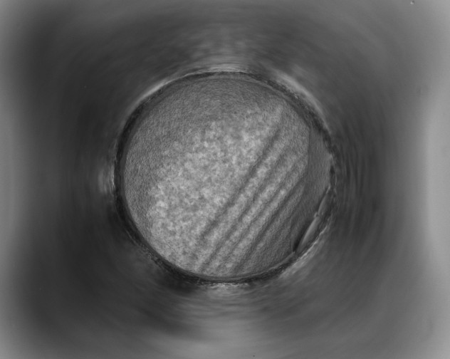 X0000088481166200706121525