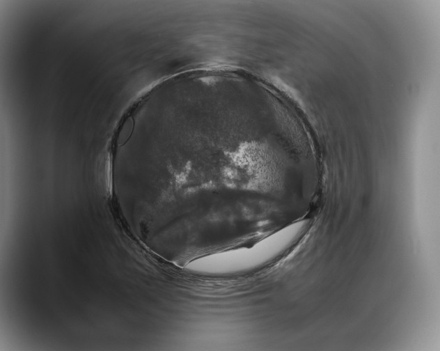 X0000088481171200706121525