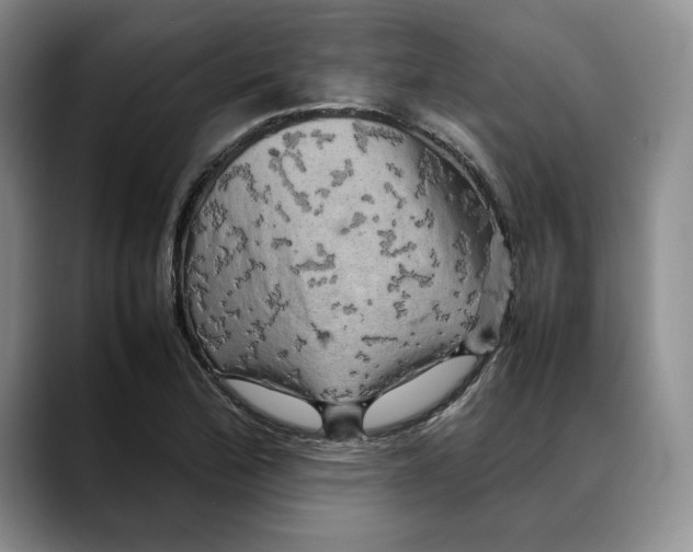 X0000088481172200706121525