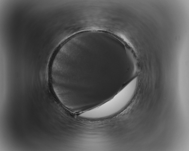 X0000088481173200706121525