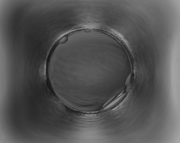 X0000088481174200706121525