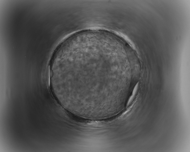 X0000088481175200706121525