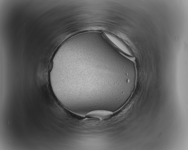 X0000088481177200706121525