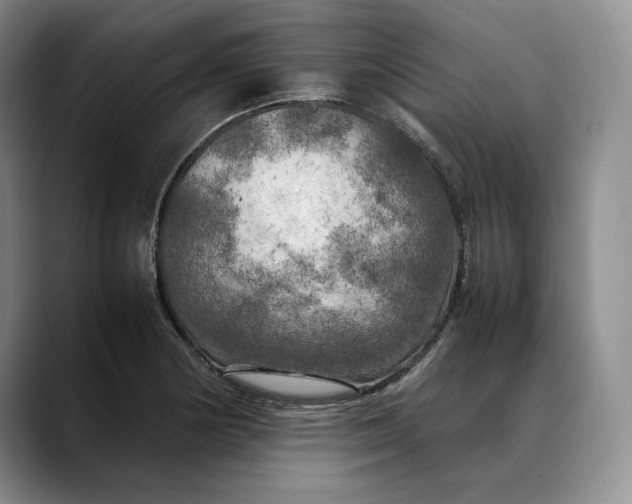 X0000088481178200706121525