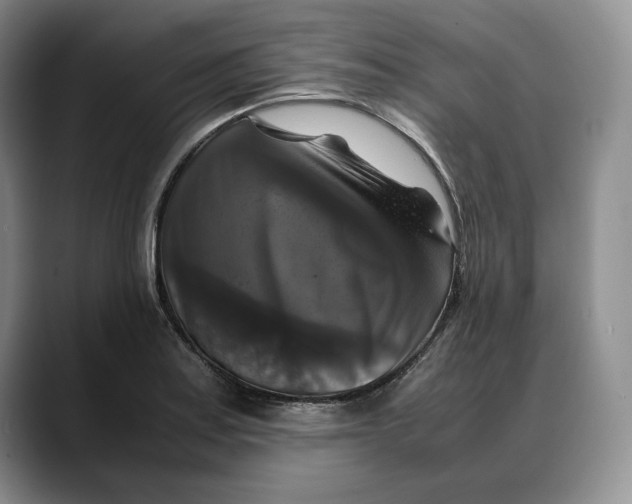 X0000088481179200706121525