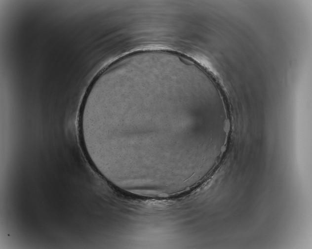 X0000088481181200706121525