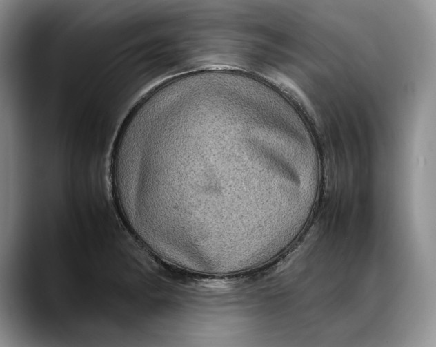 X0000088481182200706121525
