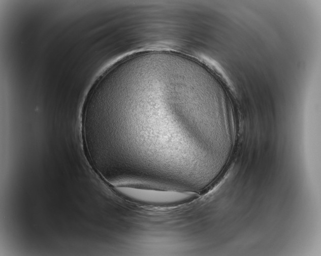 X0000088481184200706121525