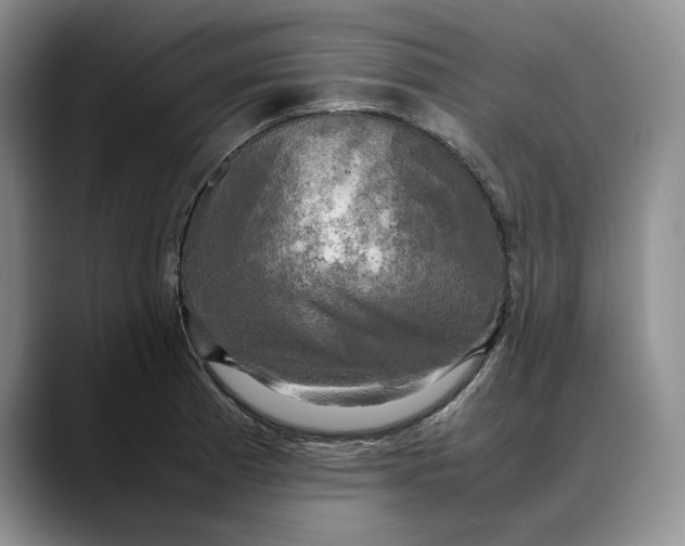X0000088481185200706121525