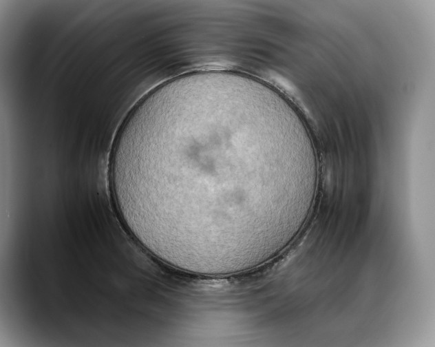 X0000088481186200706121525