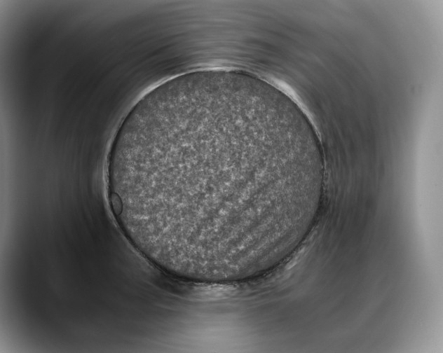 X0000088481187200706121525