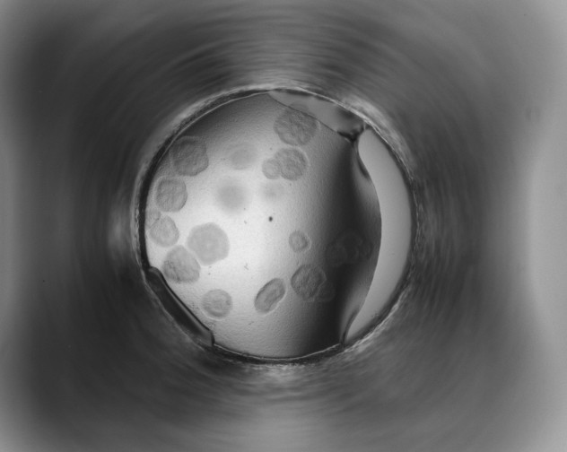 X0000088481188200706121525