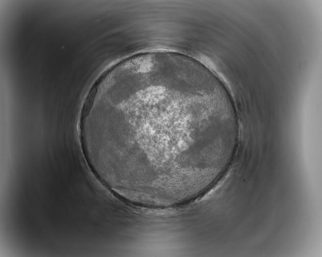 X0000088481189200706121525