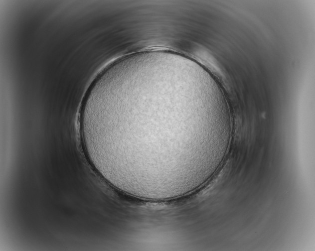 X0000088481190200706121525