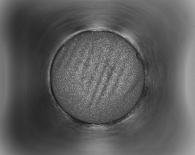X0000088481191200706121525