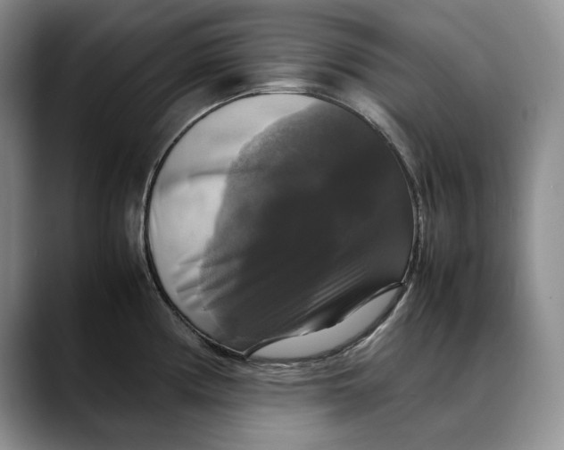 X0000088481194200706121525