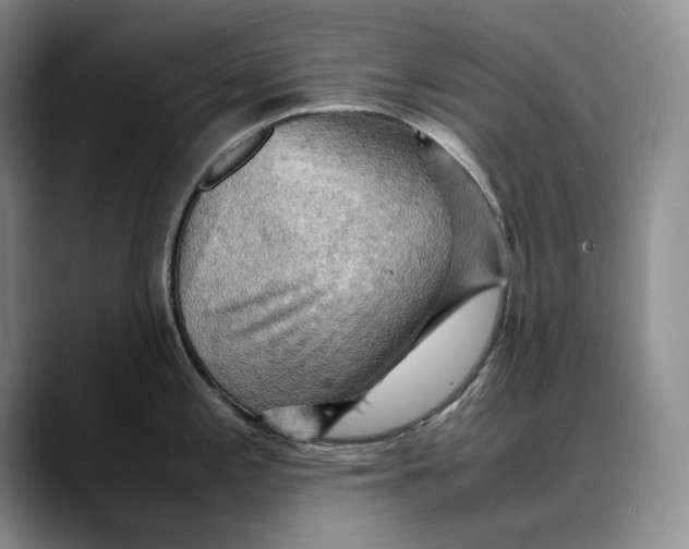 X0000088481197200706121525