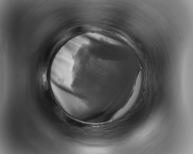 X0000088481198200706121525