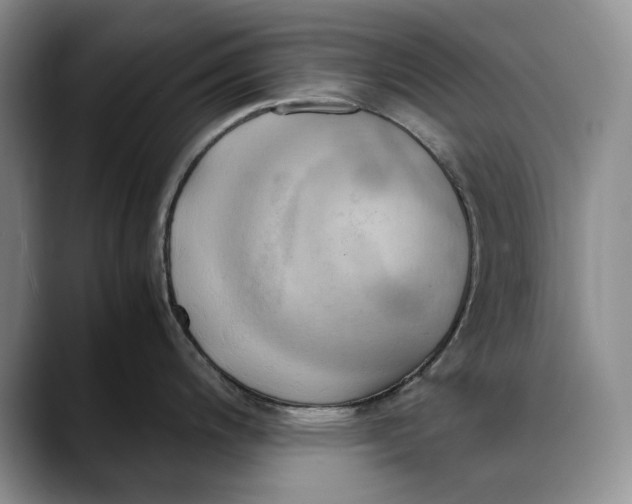 X0000088481200200706121525