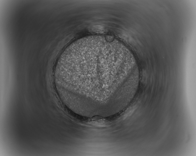 X0000088481201200706121524