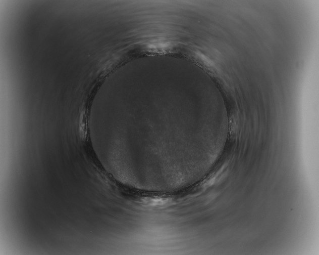 X0000088481202200706121524