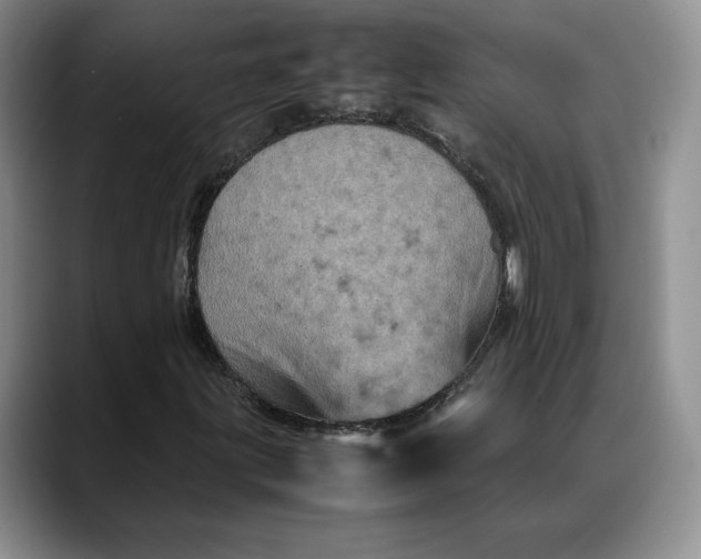 X0000088481203200706121524