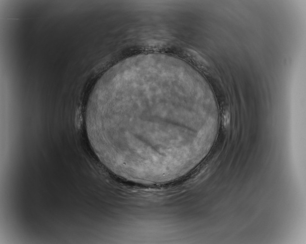 X0000088481204200706121524