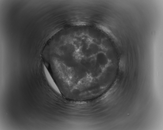 X0000088481209200706121525