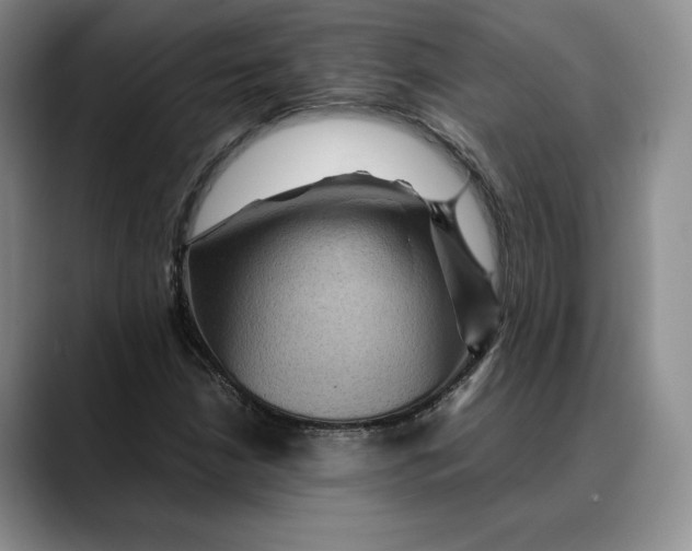 X0000088481210200706121525