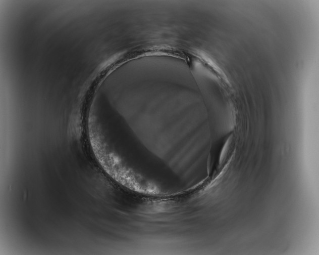 X0000088481213200706121525