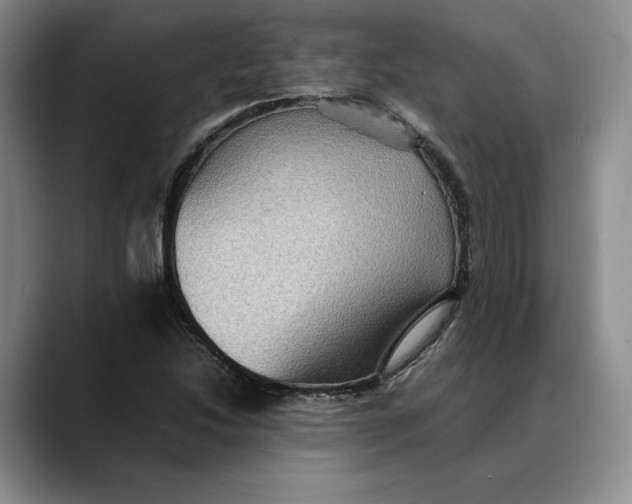 X0000088481214200706121525