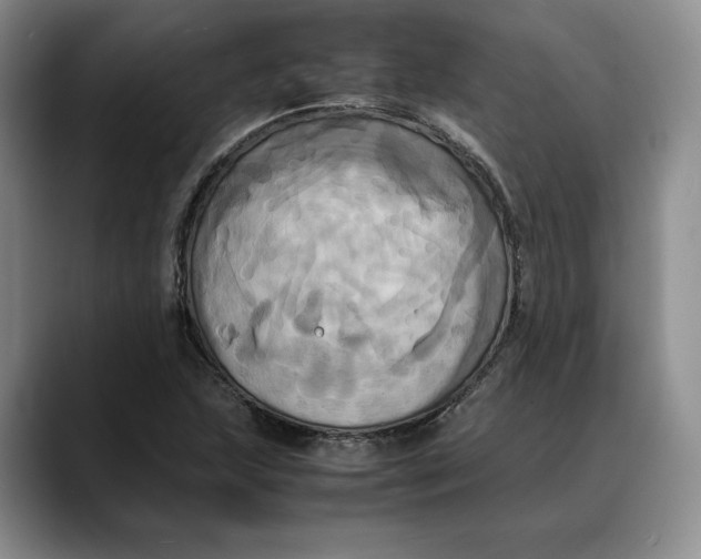 X0000088481215200706121525