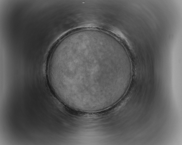 X0000088481216200706121525