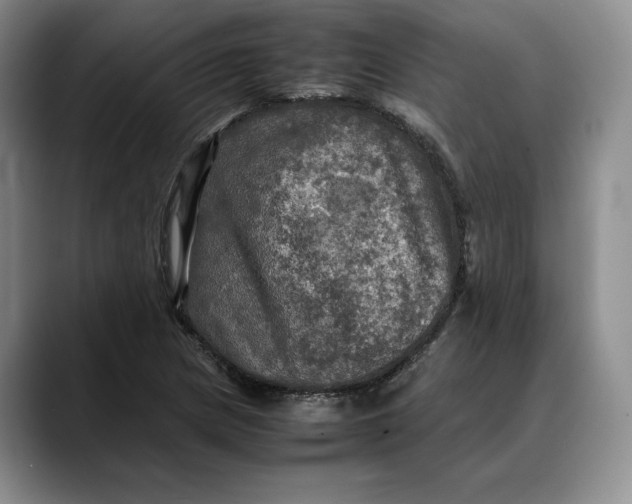 X0000088481217200706121525