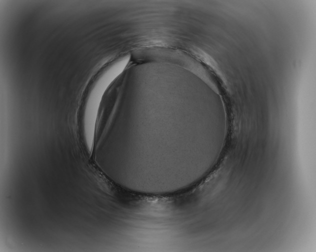 X0000088481218200706121525