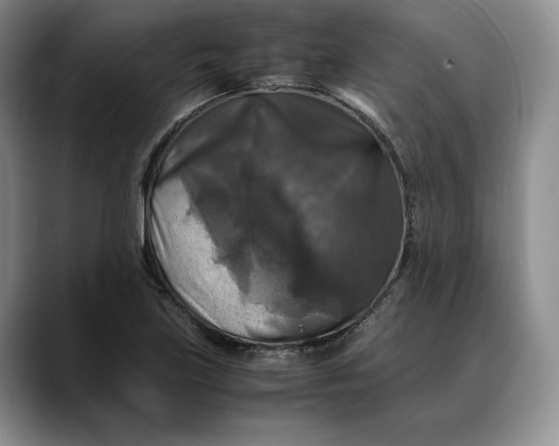 X0000088481219200706121525