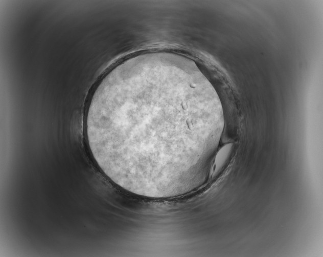 X0000088481220200706121525