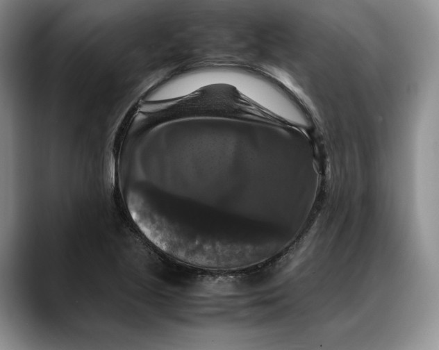 X0000088481221200706121525