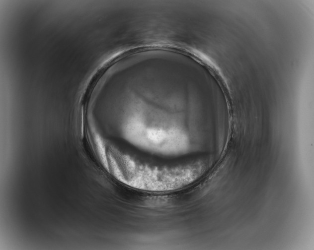 X0000088481223200706121525