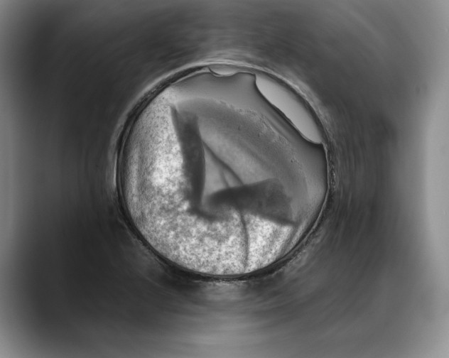 X0000088481224200706121525
