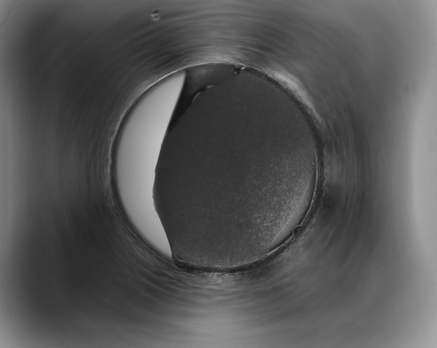 X0000088481226200706121525