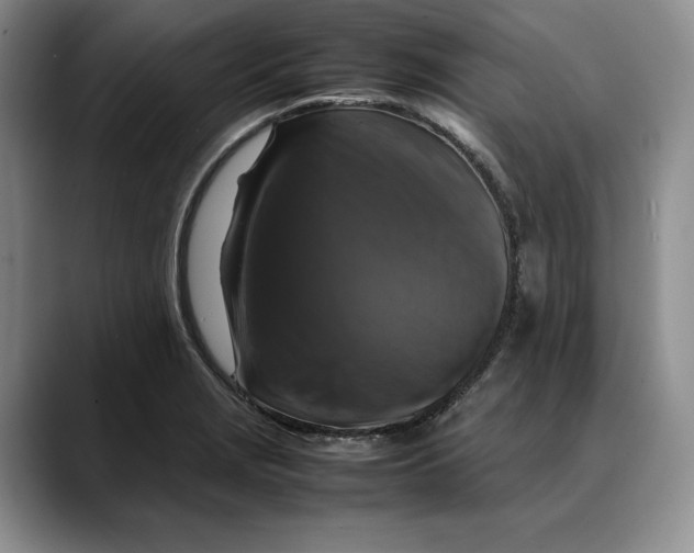 X0000088481229200706121525