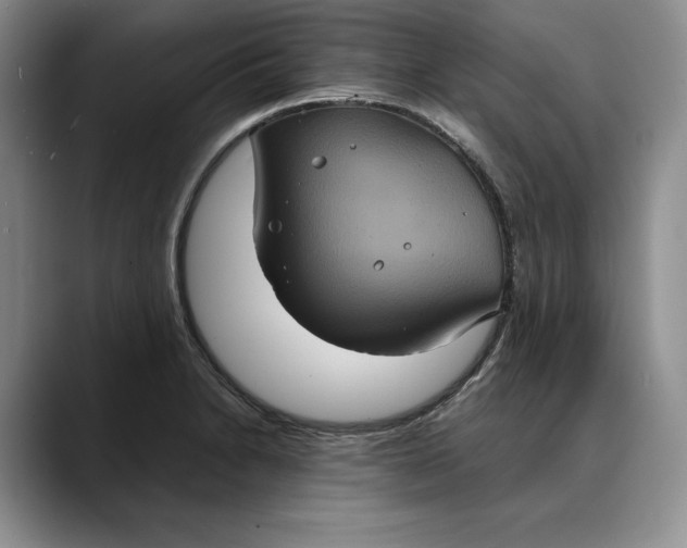 X0000088481230200706121525