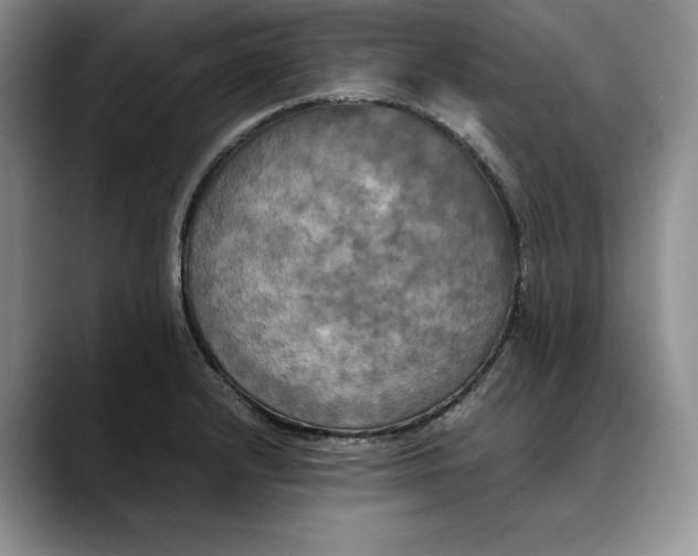 X0000088481232200706121525