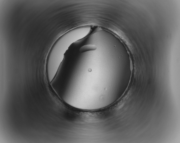 X0000088481234200706121525
