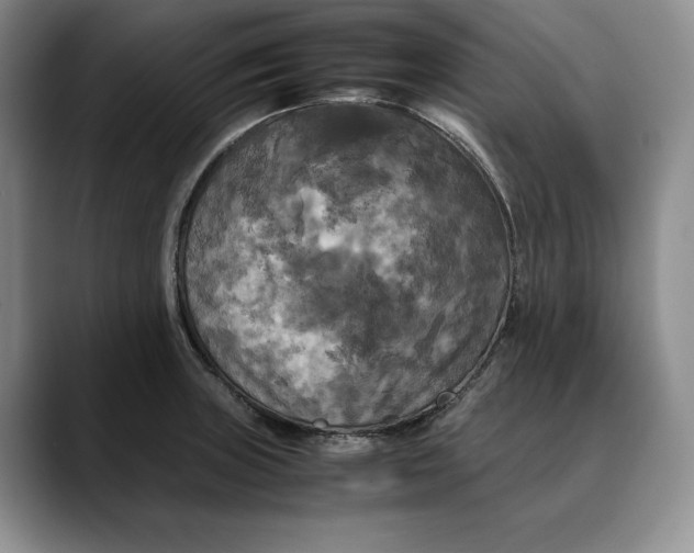 X0000088481235200706121525